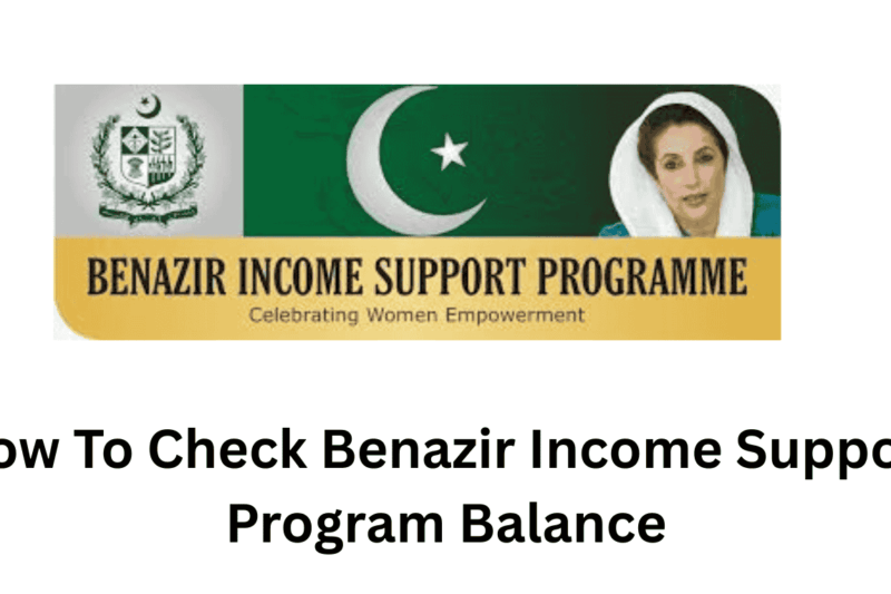 Benazir Income Support Program Check Account (Easy Guide)