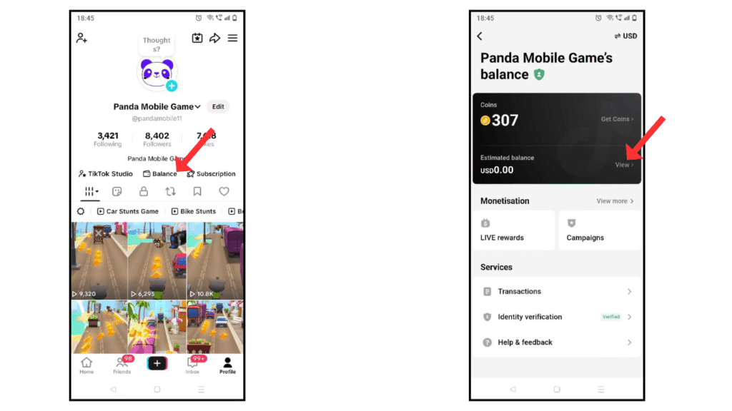 login-tiktok-and-balance