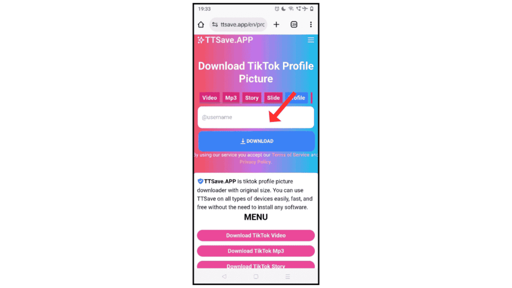 download-tiktok-profile-picture