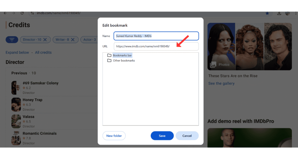 enter-url-and-name-of-bookmark