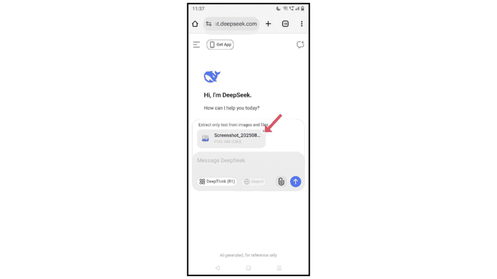 uploaded-images-in-deepseek
