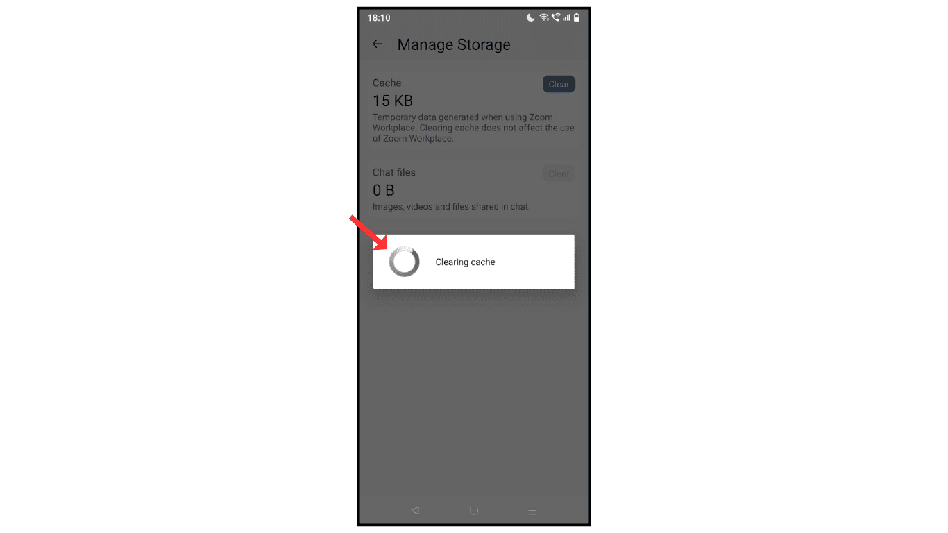 clearig-cache-on-zoom-app