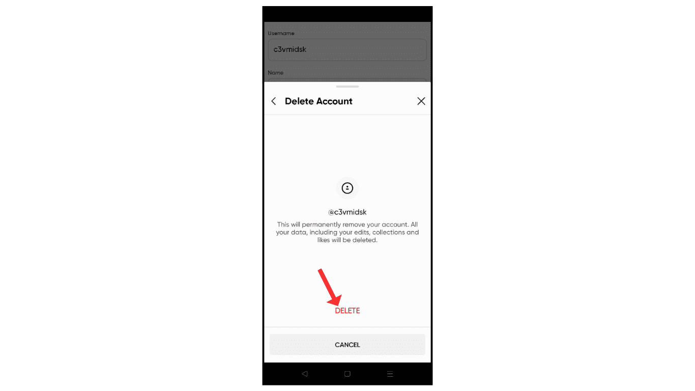 confirm-delete-picsart